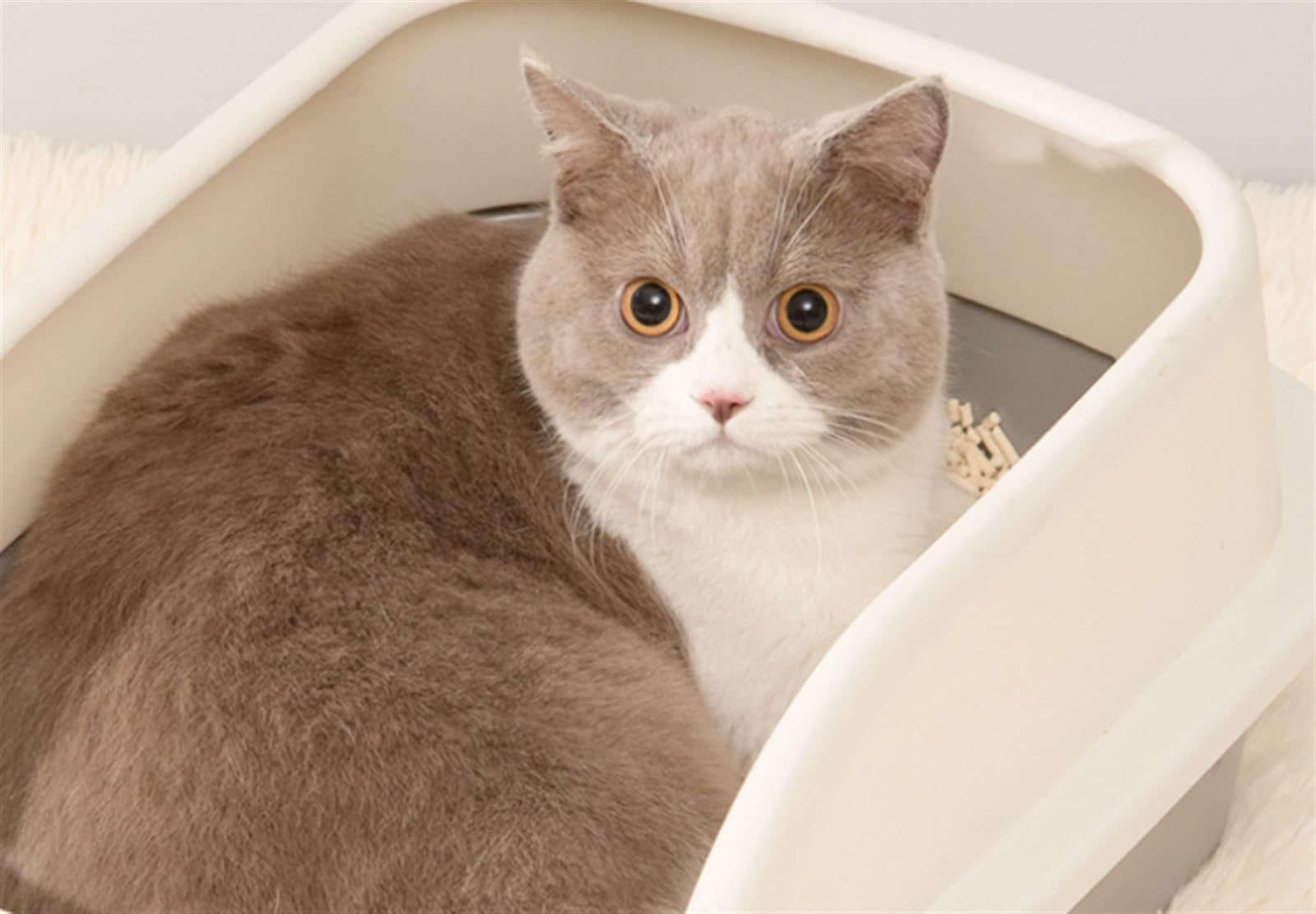 Arenero Gato Caja De Arena Para Gatos Caja De Arena Para Gatos, Contenedor, Inodoro Para Gatos Con Pala, Bandeja De Arena Para Mascotas, Para Gatos Medianos Y Grandes, Conejo Accesorios Para Gatos(Gre