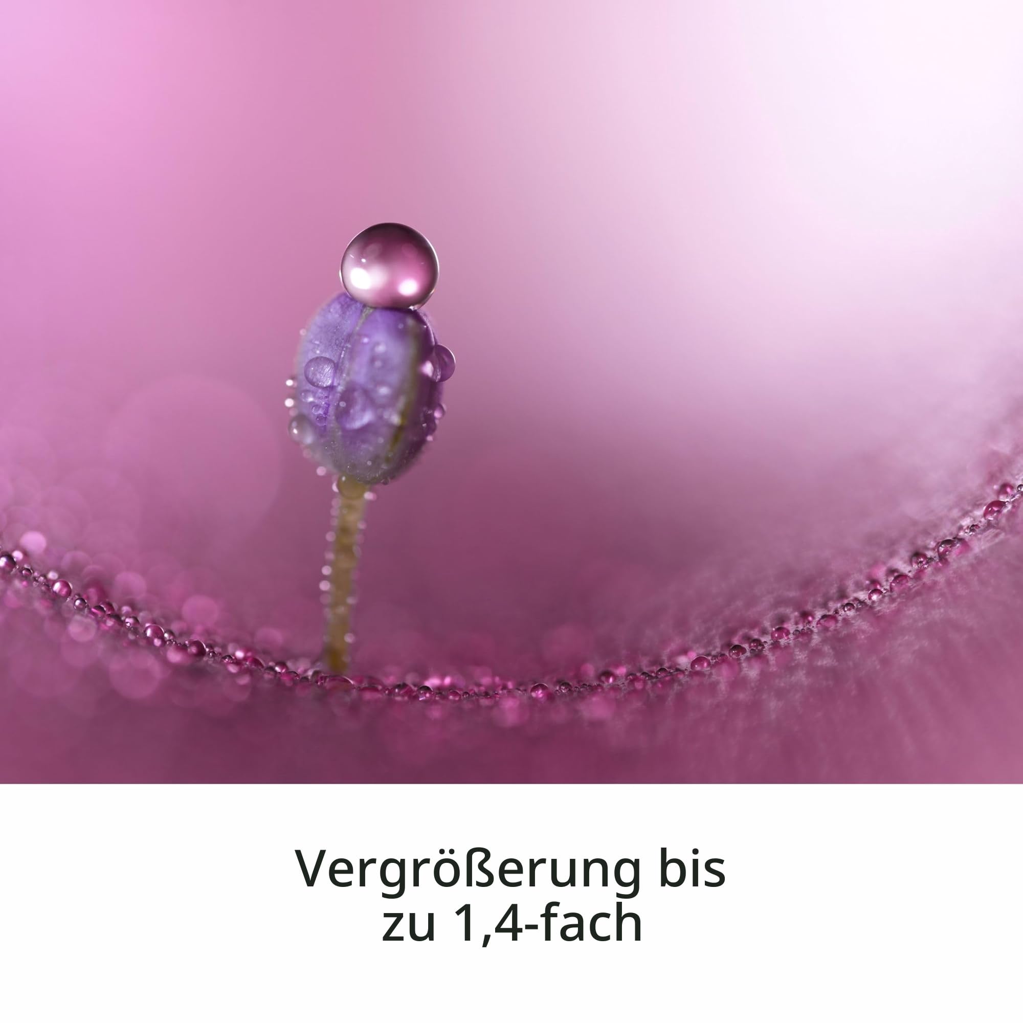 Sony FE 100mm F2.8 STF GM OSS (SEL100M28GMB) – Porträtobjektiv für Sony E-Mount Vollformat, extrem weiches Bokeh, G Master Teleobjektiv mit Autofokus & Bildstabilisator, ideal für Sony A7-Serie, A6700