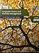 Corporate Finance and Portfolio Management CFA Program Curriculum Volume 4 Level 1 2010