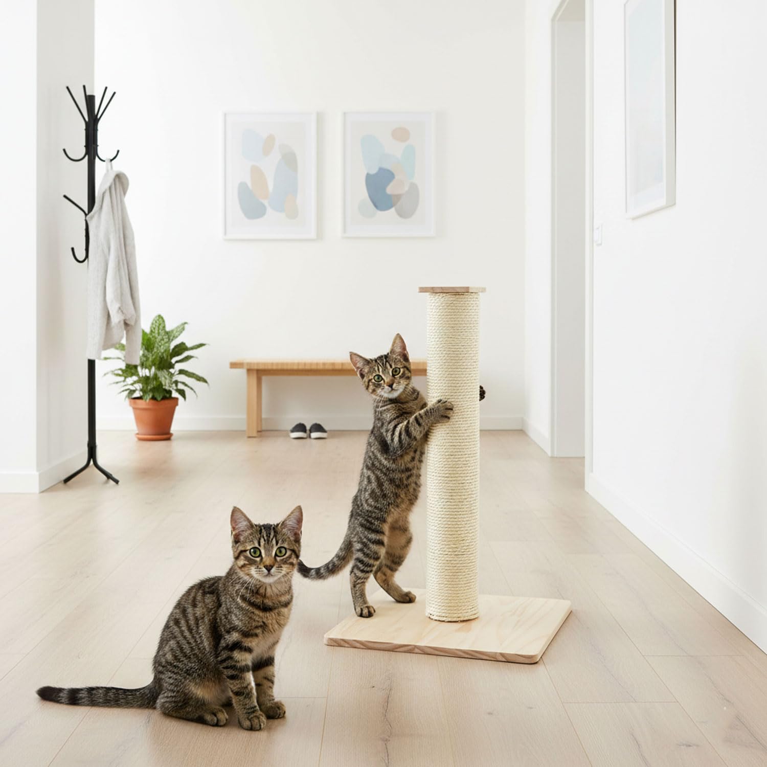 eyepower 62 cm Kratzbaum Luca - 9,2 cm Kratzsäule für Katzen mit Bambus Holzplatte - Katzenkratzbaum Klein mit M10 Sisalstamm Beige - Kratzstamm Katze Stabil Sisal Katzenbaum mit Massivholz Fußplatte