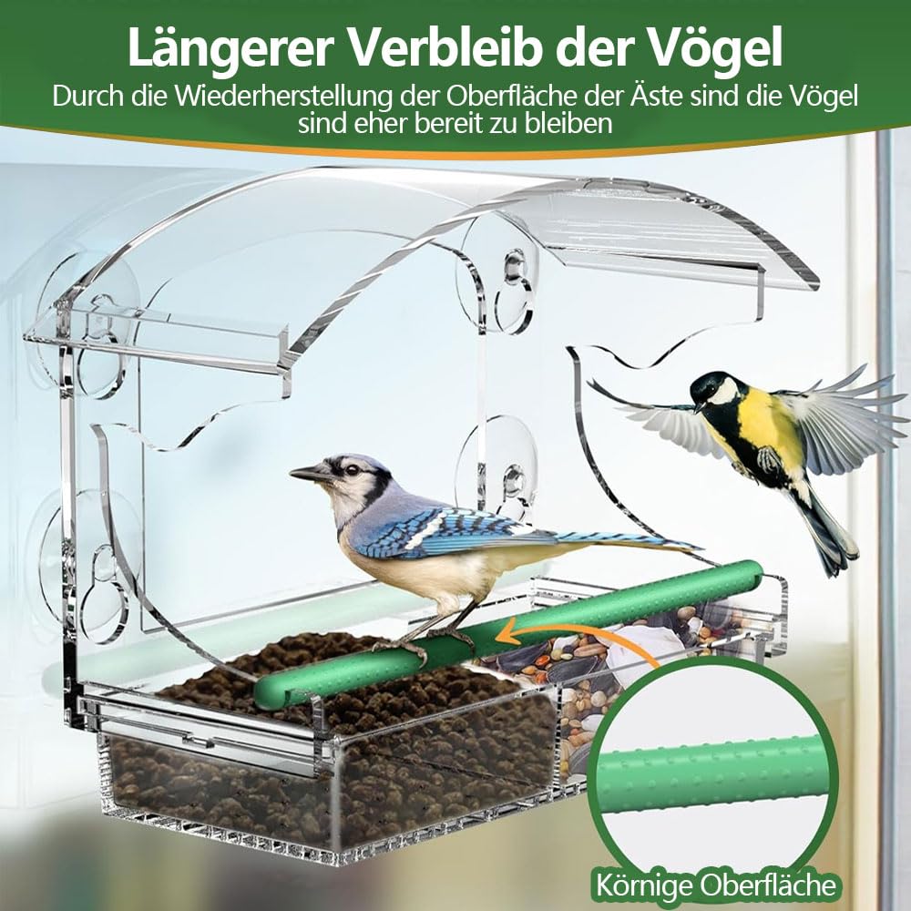 Comedero Transparente para Aves para Ventana - Exterior con 3 Ventosas y Posadera (25×15.5 cm) — view 3