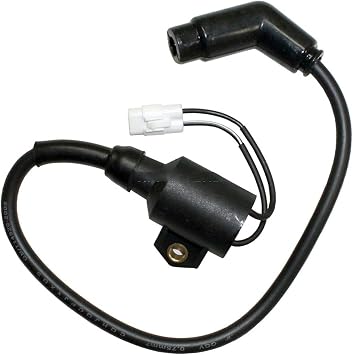 Performance Ignition Coil Module for PL HE 300 2x4 & 4x4 2006-2011 - Reliable SK Ignitor
