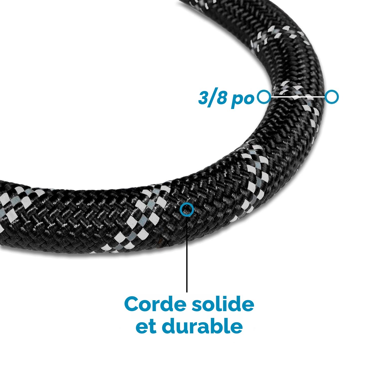 EDIPETS, Laisse Chien, Laisse de Dressage pour Chien, Rembourrée, Poignée Souple, Corde pour Chiots et Petits, Moyens et Grands Chiens, 1,2 et 1,5 mètres. (1.5 M, Noir)