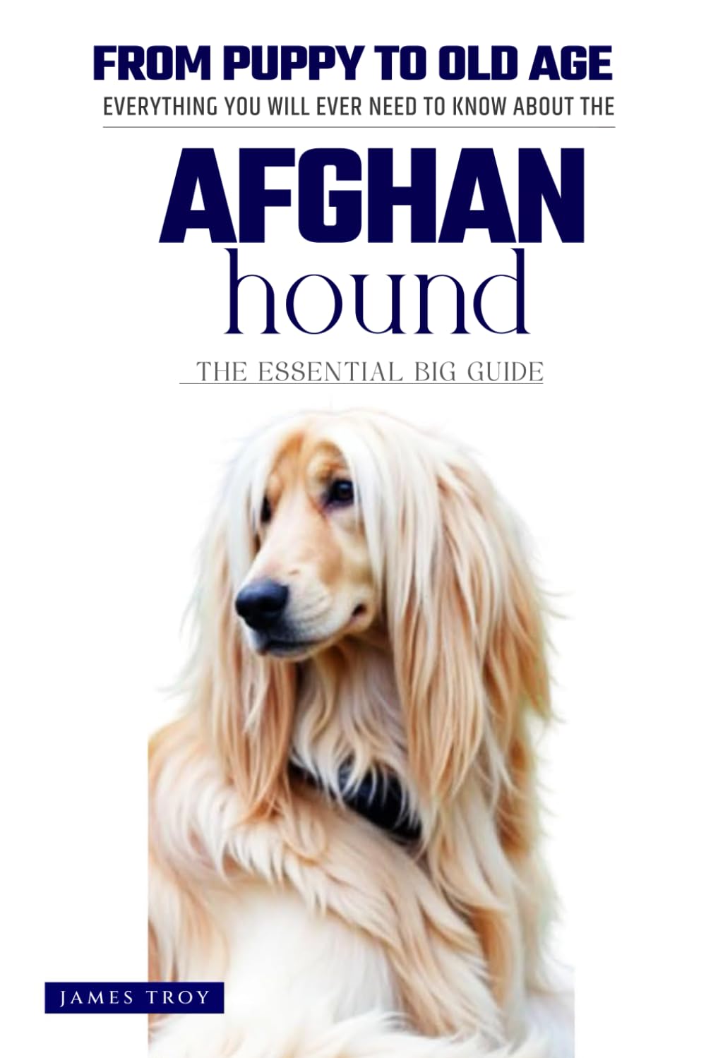 The Ultimate Afghan Hound Big Guide: Everything You Will Ever Need To Know About The Afghan Hound Book
