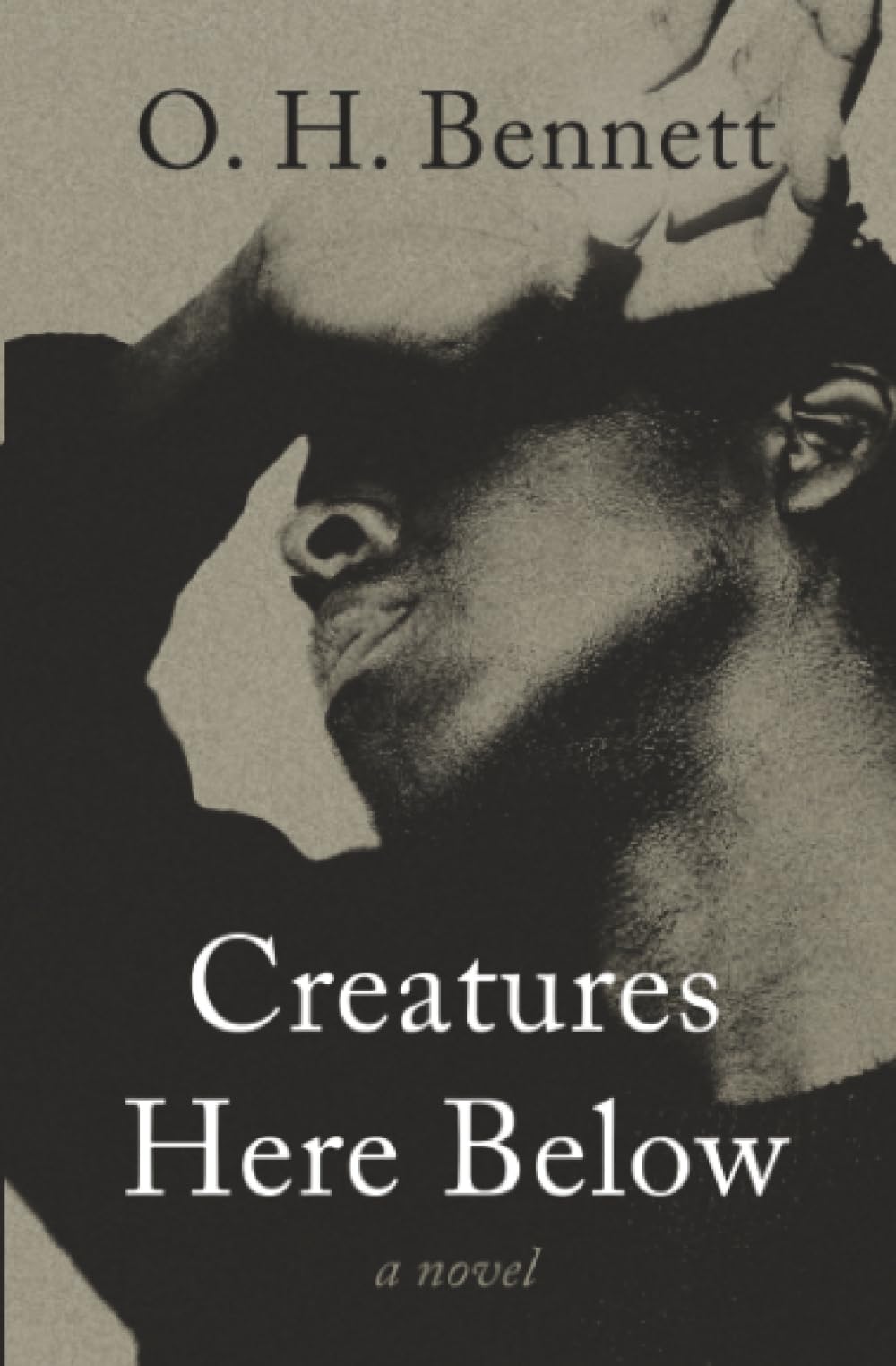 Creatures Here Below: A Novel