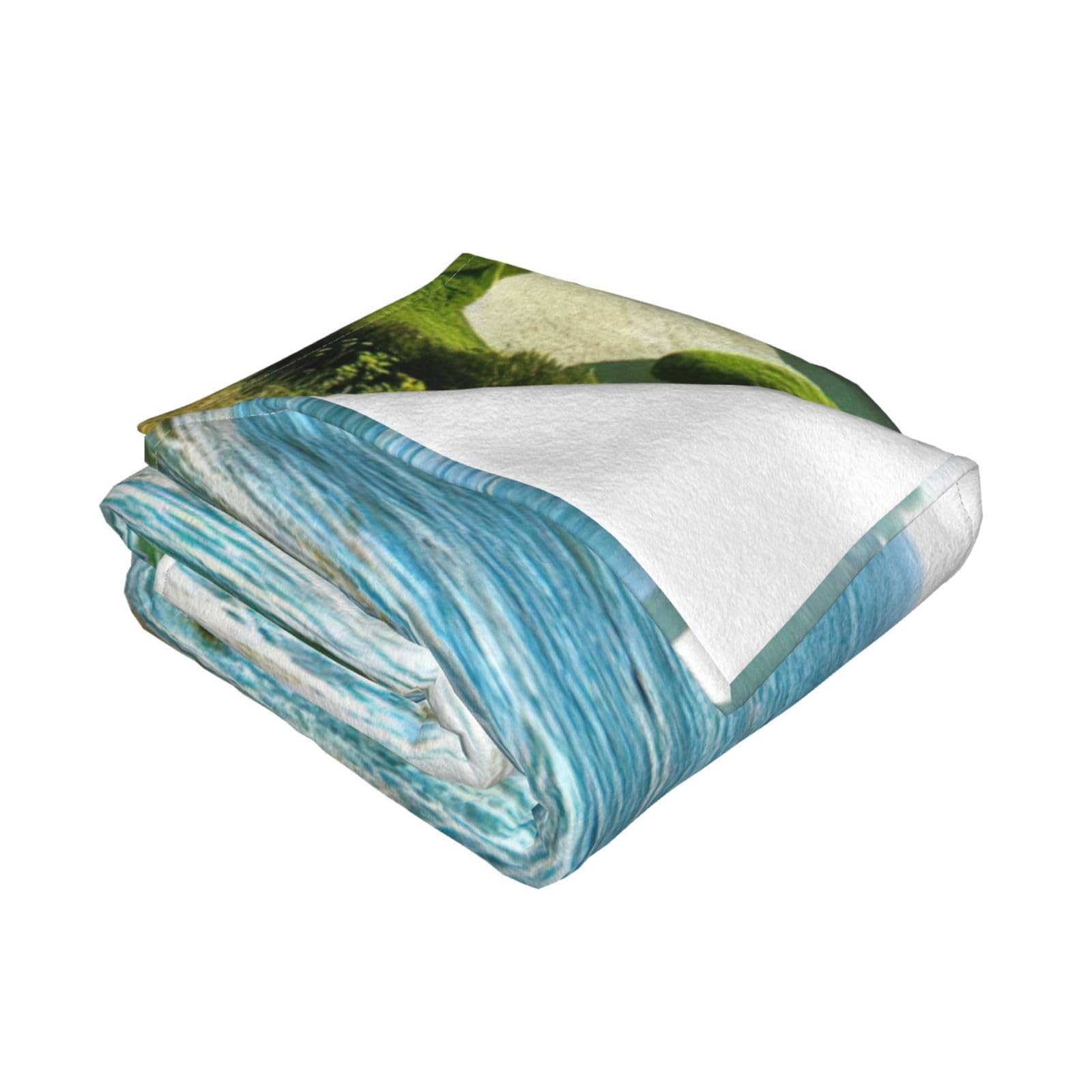 EdWal Coperta in flanella calda e accogliente con stampa di campo da golf, coperta leggera, adatta per divano, letto, campeggio, viaggi, 60 x 50 cm