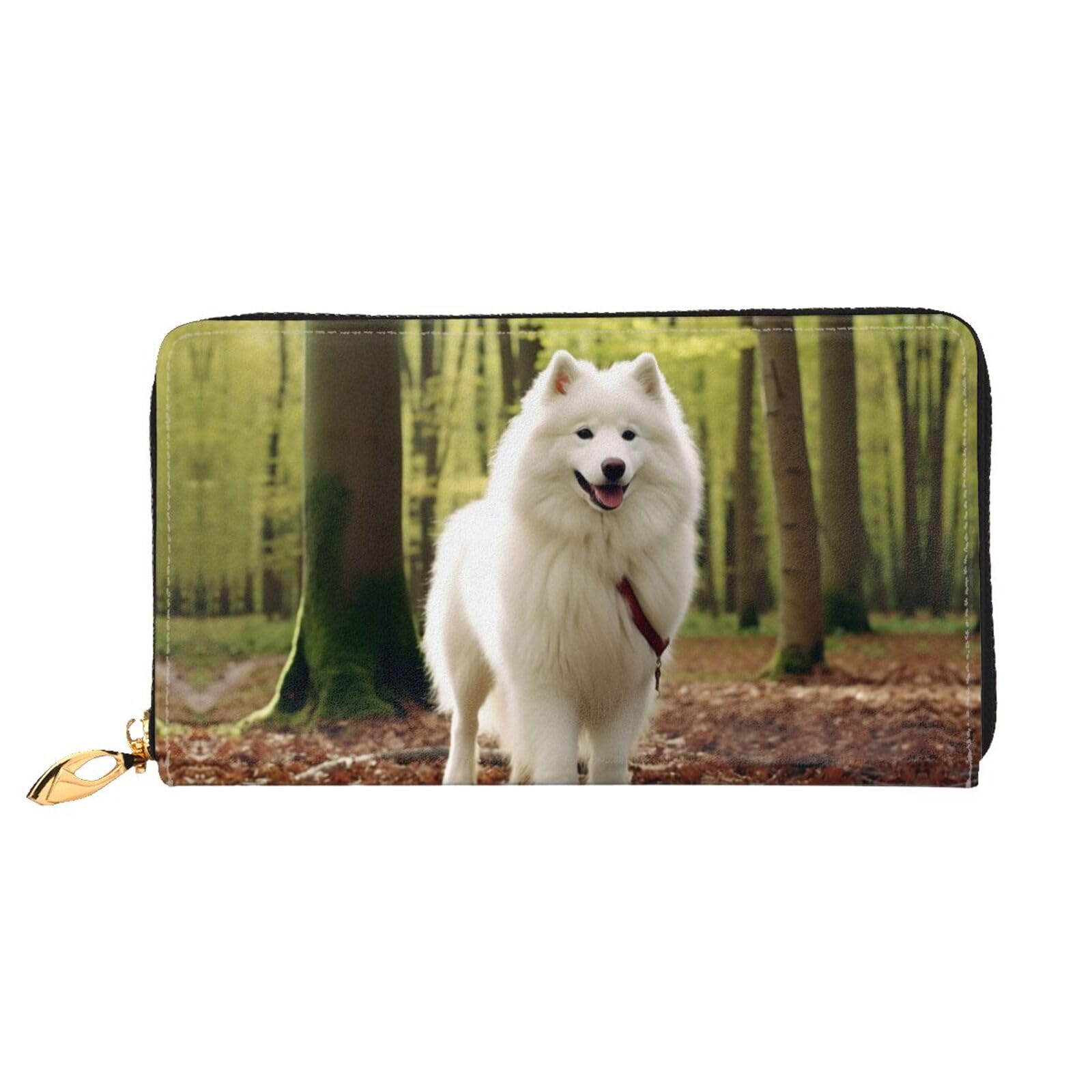 Cartera larga y grande de cuero con cremallera, patrón de esquema de color
