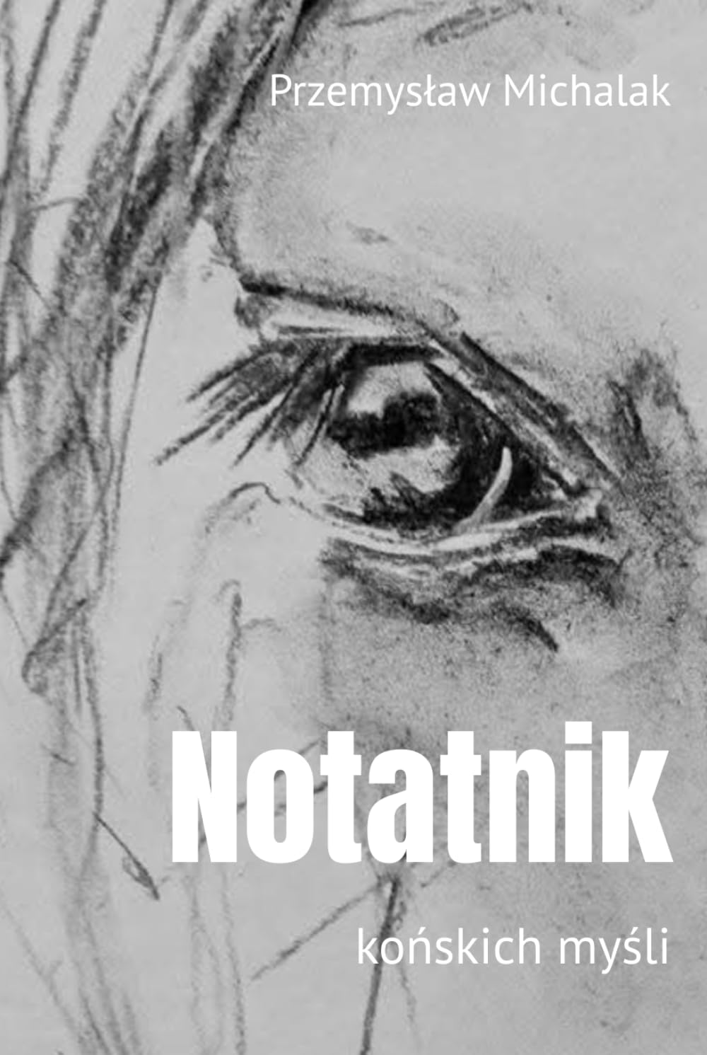 Notatnik: końskich myśli