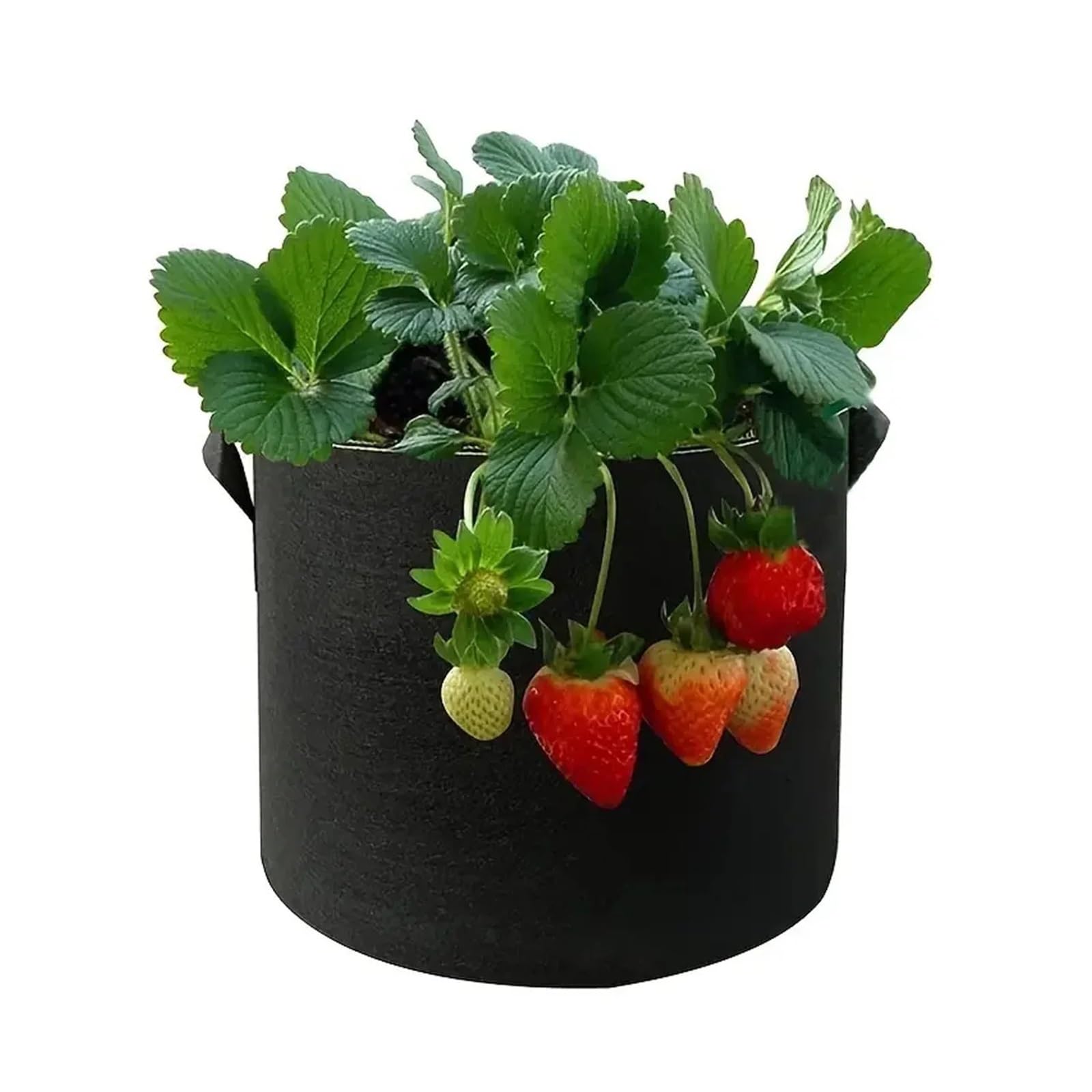 Generico Borse for coltivazioni in feltro Vasi for piantare fiori vegetali Borsa for vasi da vivaio for piante giardino addensata 5/10/15 galloni(15 Gallon)