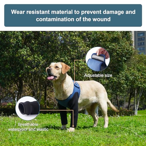 Dog Sleeves for Wounds Front Legs ,Cone Collar Alternative, Abrasion Resistant Dog Recovery Sleeve, Washable 2.5mm Thick and Waterproof, Breathable Pet Wounds Prevent Licking, Bite Blue (Small) Dog Sleeves for Wounds Front Legs ,Cone Collar Alternative, Abrasion Resistant Dog Recovery Sleeve, Washable 2.5mm Thick and Waterproof, Breathable Pet Wounds Prevent Licking, Bite Blue (Small)