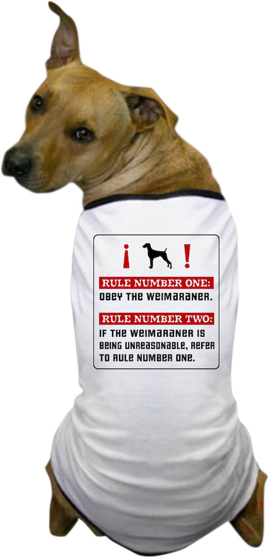 CafePress Obey The Weimaraner Rules Dog T Shirt Dog T-Shirt, Pet Clothing, Funny Dog Costume