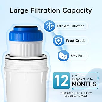 iSpring FG15 10x2.5 Water Filter Replacement for Reverse Osmosis Water Filter System, GAC Granular Activated Carbon Filter Water Filter Cartridge Reduce PFAS