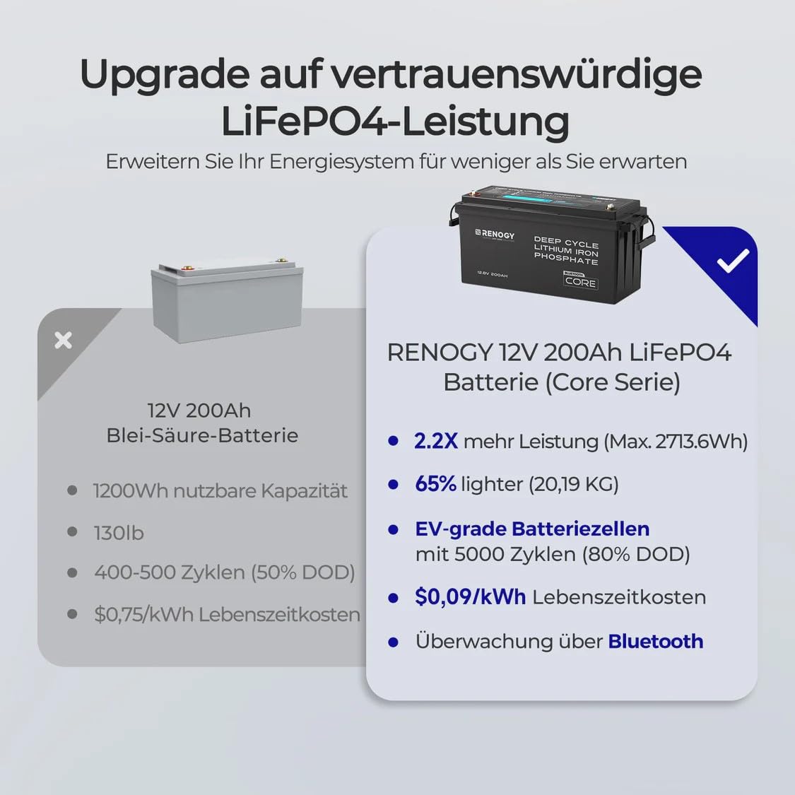 Renogy 12 V 200 Ah LiFePO4 Mini Batterie au Lithium, avec Bluetooth 200ABMS Protection complète pendant plus de 5000 décharges profondes, Batterie solaire 12 V, Parfaite pour les camping-cars marins
