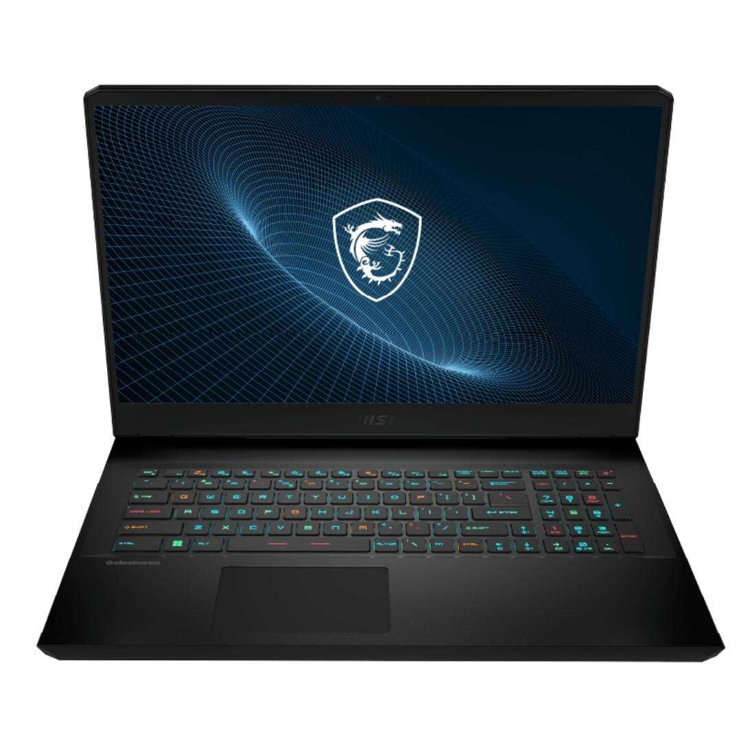 Amazon.com: HIDevolution MSI Vector GP76 12UGS 17.3