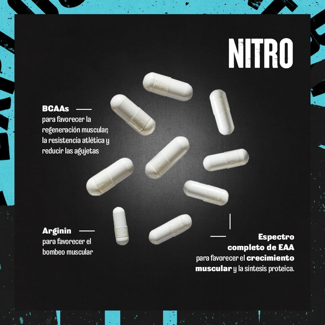 ANIMAL Nitro - aminoácidos EAA y BCAA para el desarrollo muscular y la regeneración - Aminoácidos esenciales para el fitness, el culturismo y los entrenamientos intensivos - 44 envases.