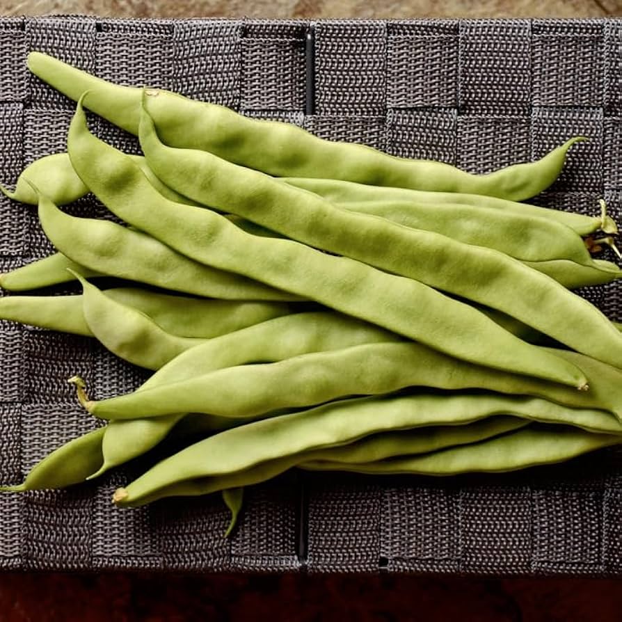 Amazon.com : TomorrowSeeds - Qing Bian Romano Bean (Pole