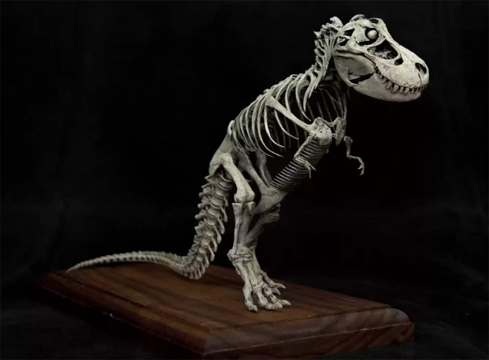 木彫　Tyrannosaurus rex 1/10　全身骨格模型 約97cm 木彫 Tyrannosaurus rex 1/10 全身骨格模型 約97cm 木彫