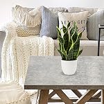 Artificial Snake Plant Potted Faux Sansevieria Trifasciata Plants, 17" Tropical Fake Plants in White Pots for Home Office Desk Outdoor Décor Housewarming Gift