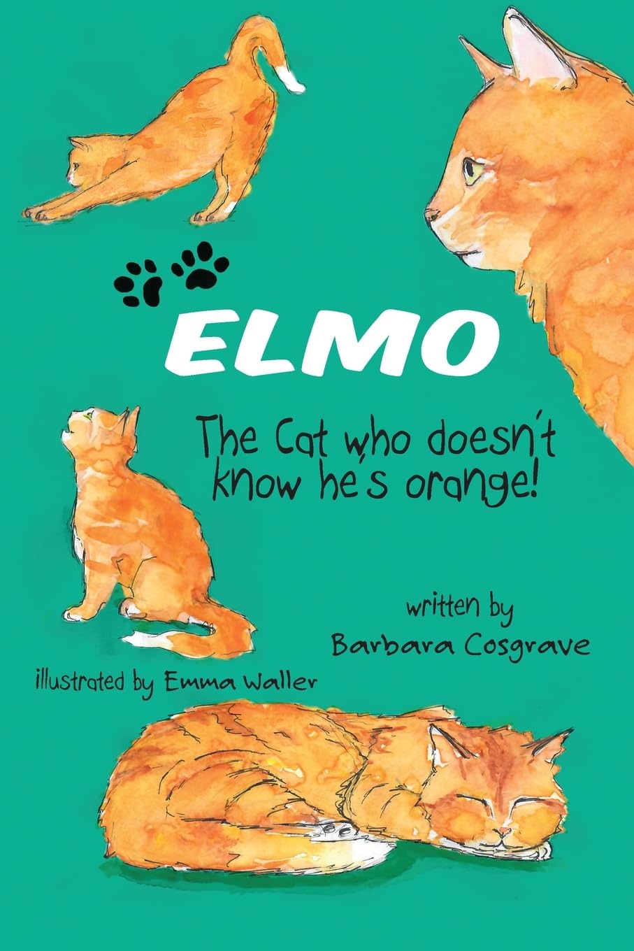 Elmo the Cat Who Doesn't Know He's Orange: 1