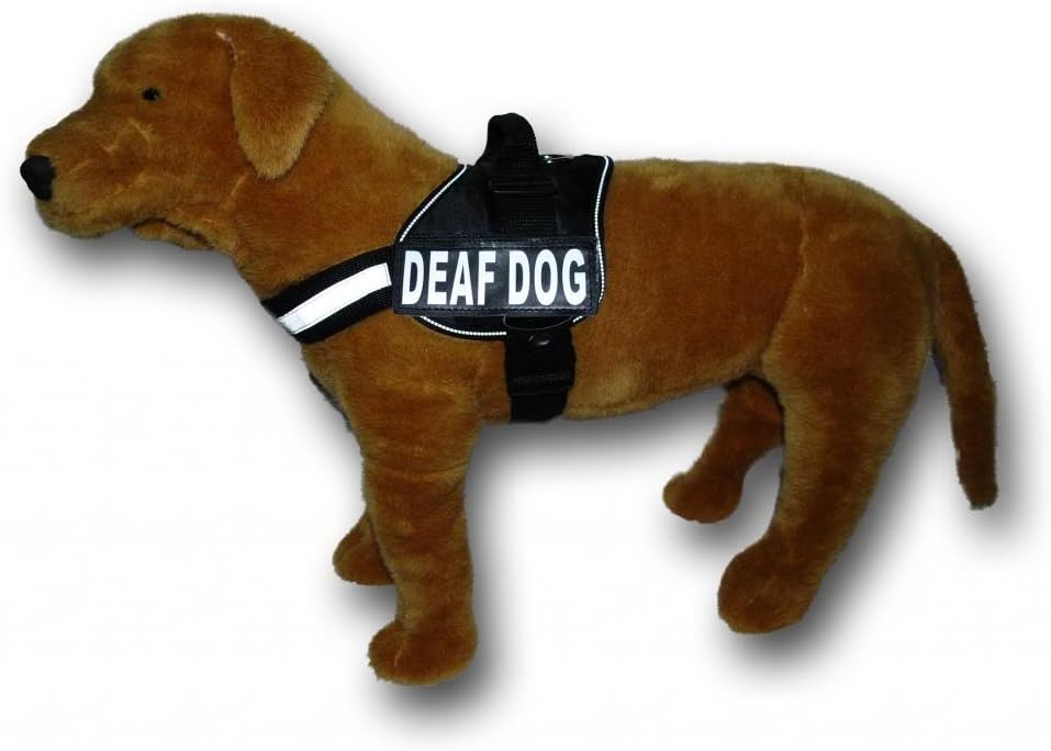 deaf dog harness