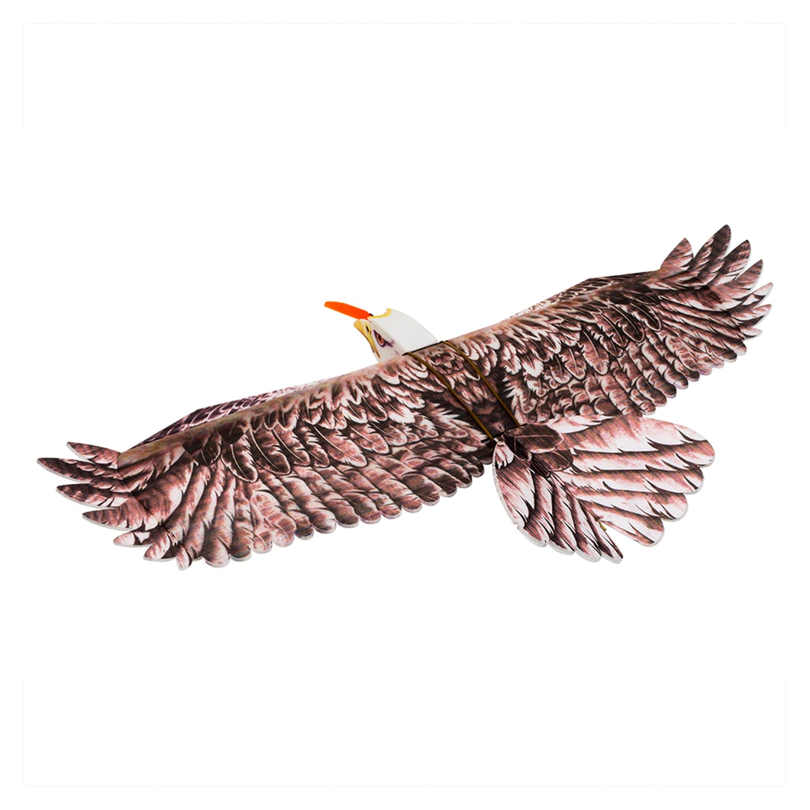 Domary EPP RC-Flugzeug Eagle Plane 1430 Mm Spannweite Elektrisch Angetriebener -Flugmodellbausatz PNP-Version mit Motor-ESC-Servo für Anfänger und Bastler (PNP)