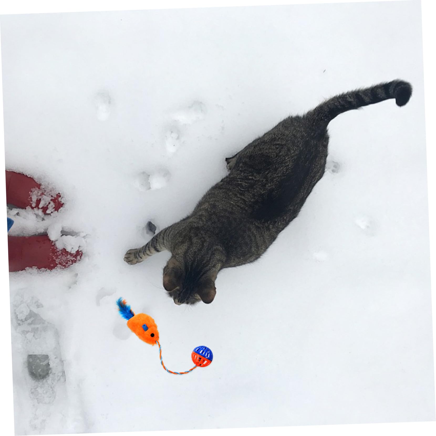 BESTonZON Jouet pour Chaton à Griffer D'intérieur en Peluche et Plastique avec Clochette, Jouet Interactif pour Divertissement et Soulagement du Stress