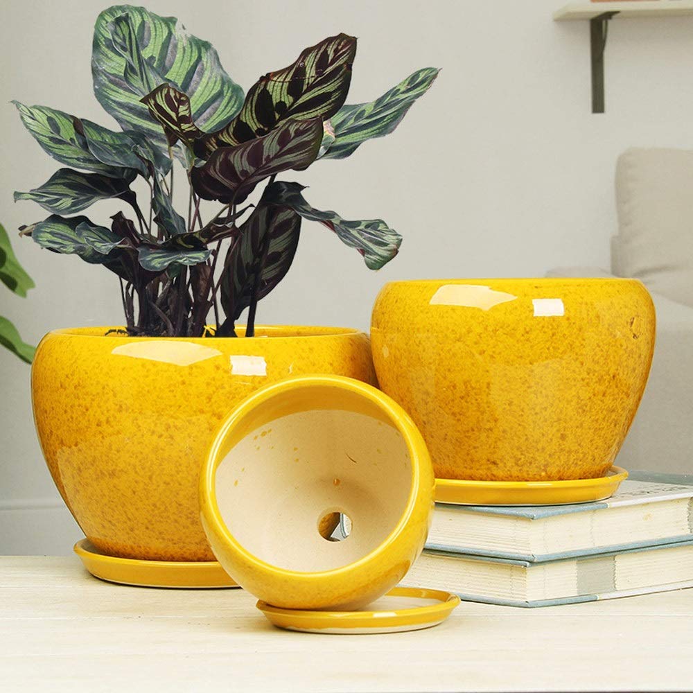 Doniczki Doniczka w stylu chińskim Żółta glazura Doniczka ceramiczna Duża doniczka na sukulenty z tacą Balkon na zewnątrz Oddychająca donica Wykwintna doniczka na storczyki (żółta duża)
