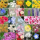 Eden Brothers California Wildflower Mixed Seeds for Planting, 1/4 lb, 120,000+ Seeds with Black Eyed Susan, Shasta Daisy | Attracts Pollinators, Plant in Spring or Fall, Zones 3, 4, 5, 6, 7, 8, 9, 10