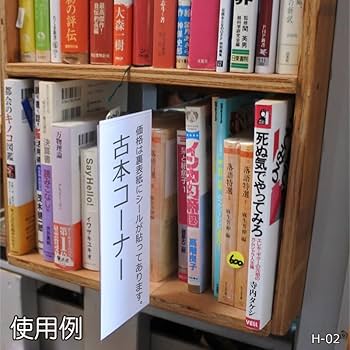 Amazon.co.jp: イガラシプロ 棚差し仕切りプレート 20枚入 棚用