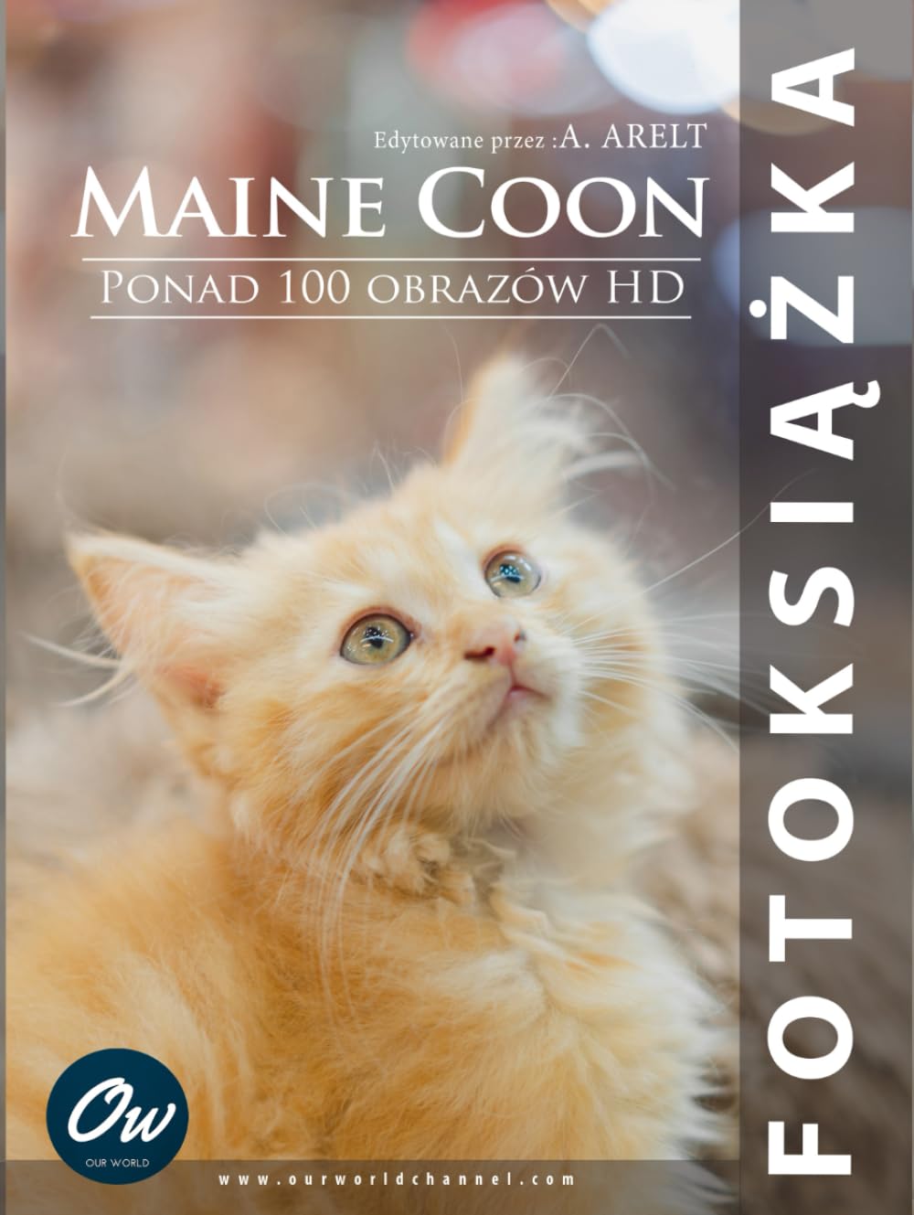 Maine Coon fotoksiążka : album photo personnalisé pour les passionnés de chats