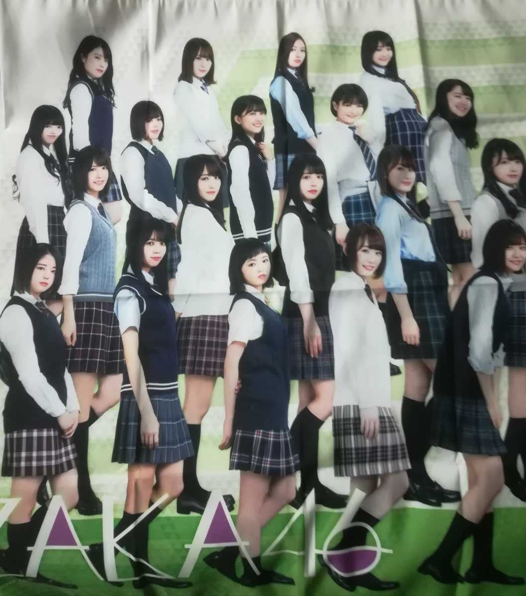 Amazon.co.jp: 欅坂46 ローソン一番くじ ワン賞 応援幕 櫻坂46 日向坂