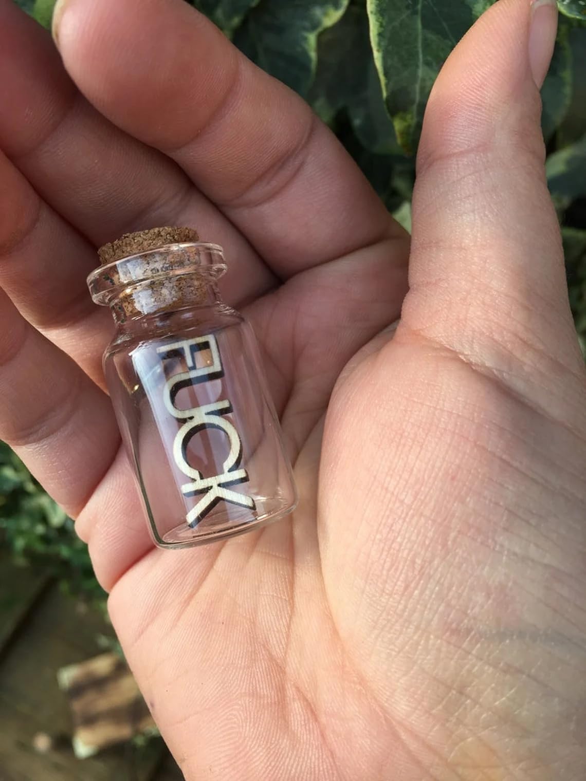 My Last Fuck to Give Miniature Bottle Trinket, Unique Gifts, Christmas Gifts for FriendsFunny Gifts, Swear Bottles, Swear Jars