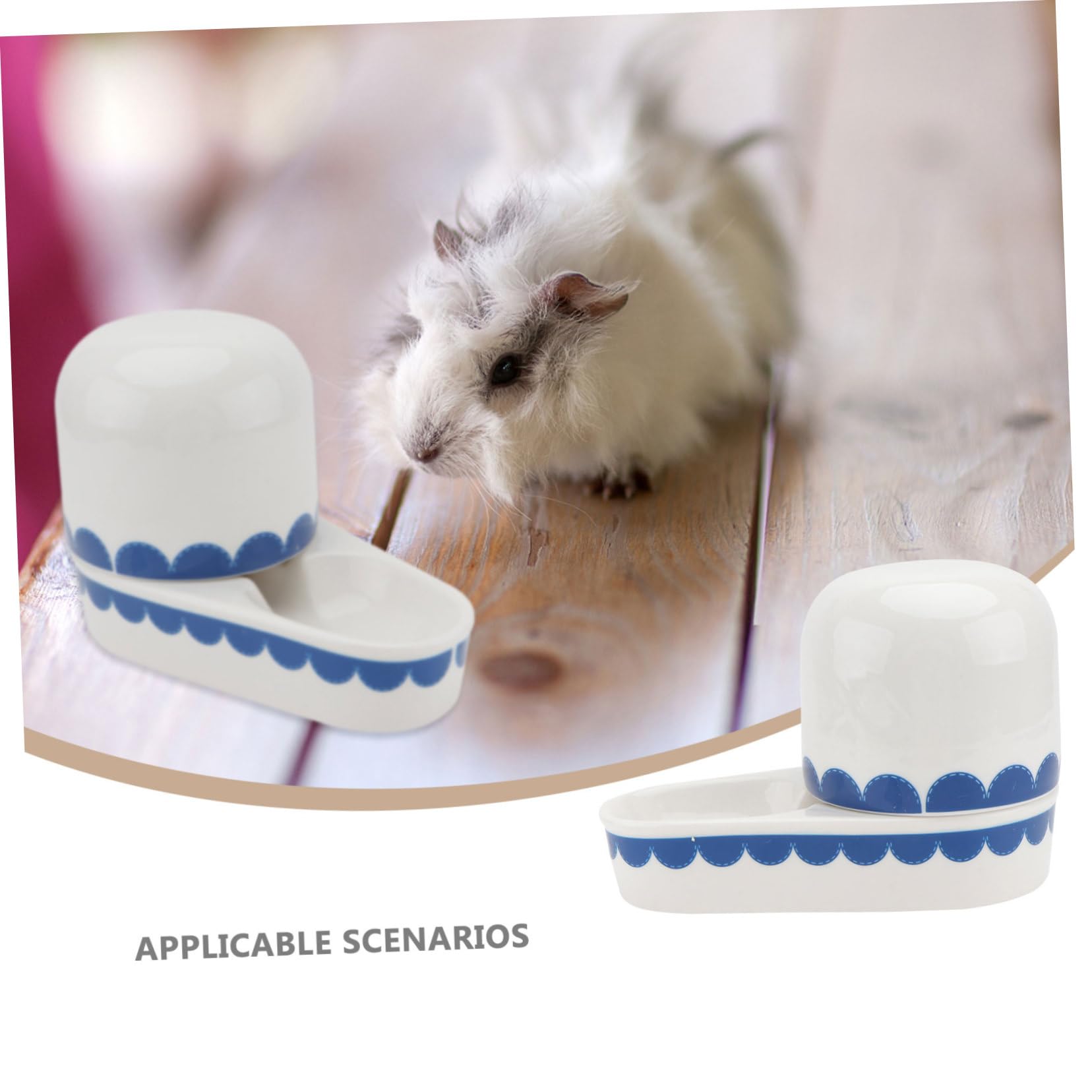 Toddmomy Gamelle d'eau Odeur pour Lapin Surface Lisse en Céramique Abreuvoir Solide pour Animaux Domestiques la Maison