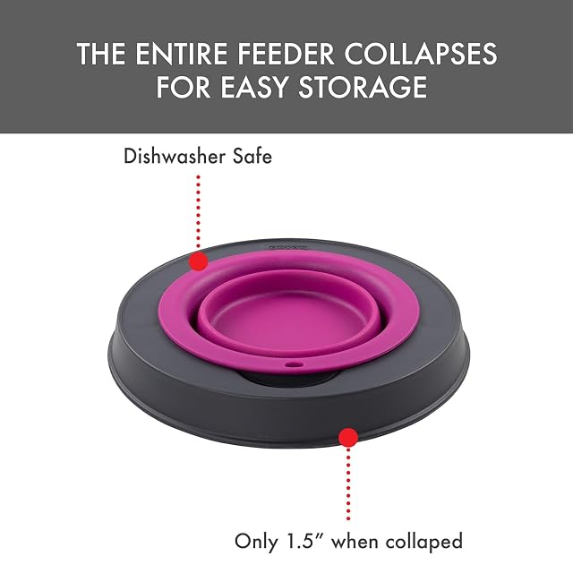 Foto 4 de 7 de Dexas Comedero Elevado para Mascotas, con Capacidad para 4 Tazas, Color Fucsia