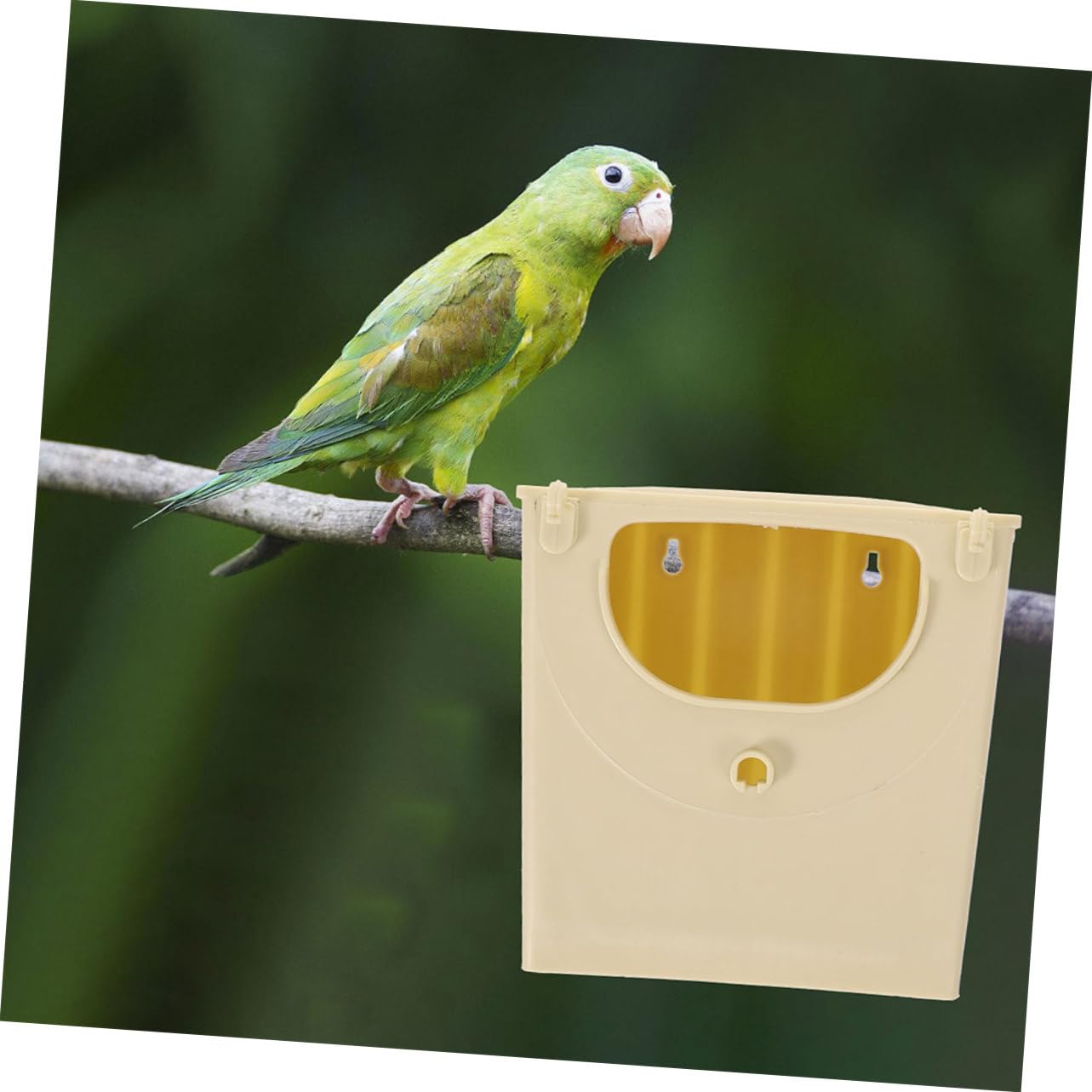 WOONEKY 4piezas Caja para Pájaros De Plástico Casa De Incubación y Cría para Periquitos y Pinzones De Cría Espacioso y Resistente para y Aves De