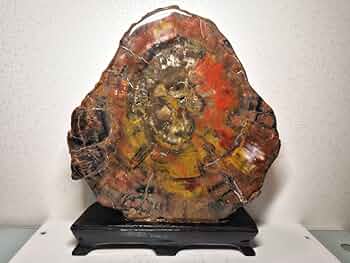 61mPFbEZ4nL._AC_UF350,