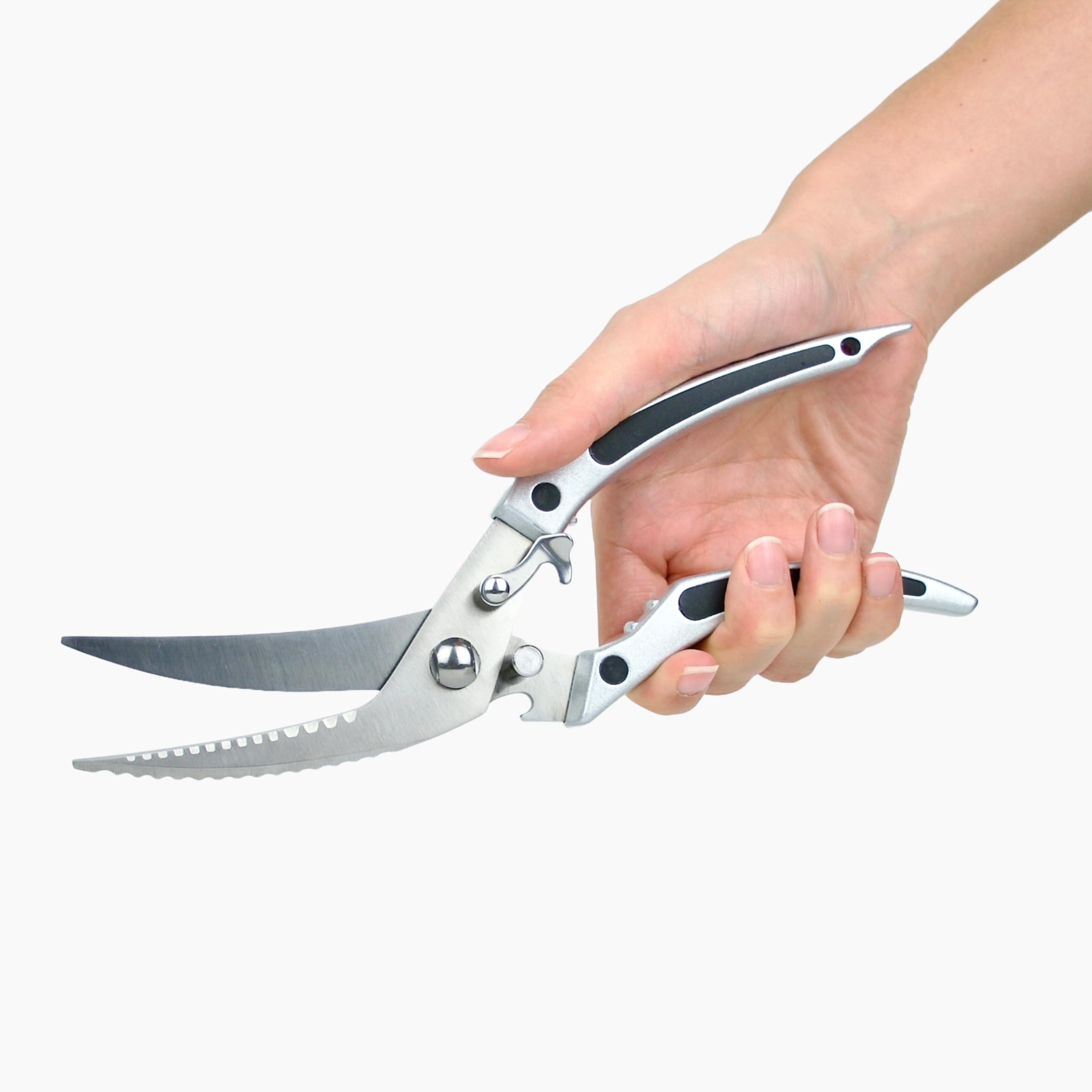 Cookery Tijeras para aves de corral Premium (plata)
