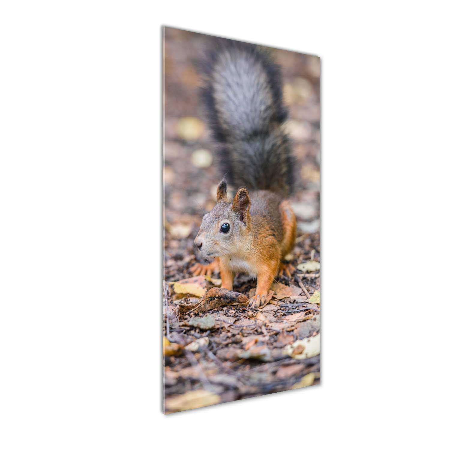 Impression sur verre acrylique Tulup pour embellir un mur vide