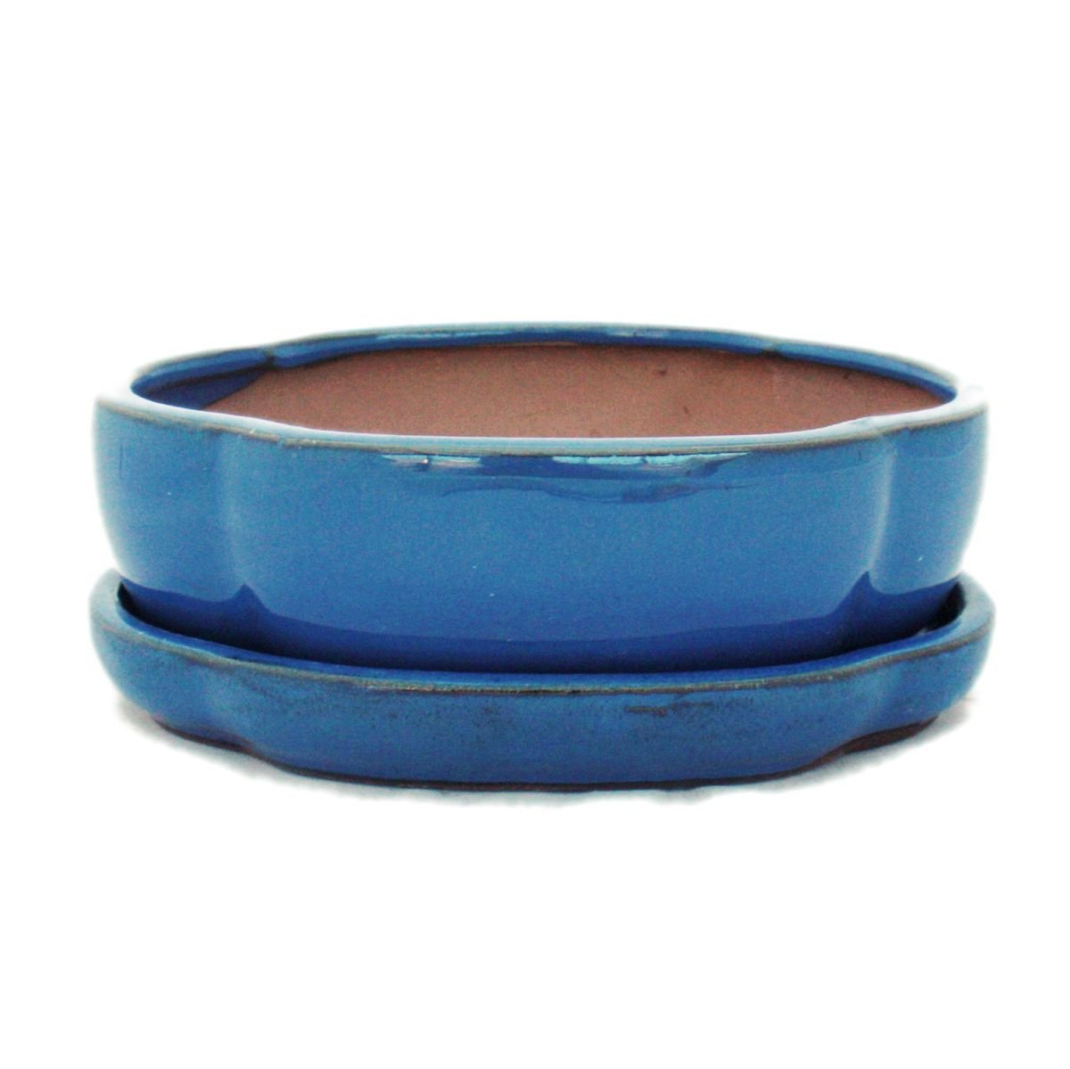 Pot pour bonsai bleu ovale Haitang parfait pour décorer votre salon