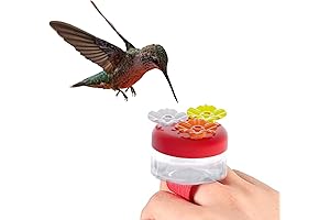 Hummingbird Feeder Ring, Outdoor Mini Hummingbird Handheld Feeder