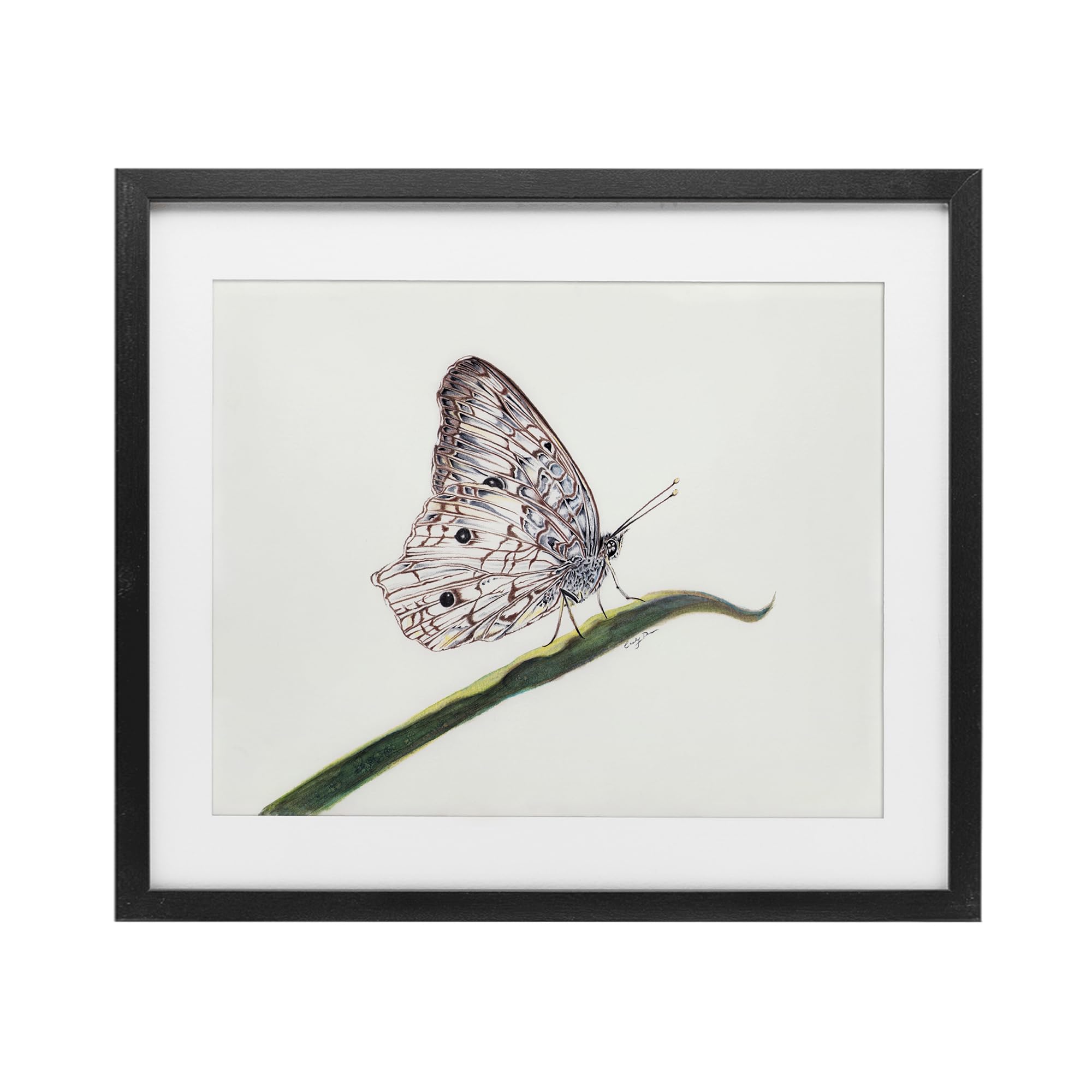Cadre papillon noir Stupell Industries œuvre d'art murale 40cm