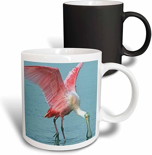 Vista 25 de 3dRose mug_35348_1 Upclose Roseate Spoonbill Pink Tropic Bird Taza de cerámica, 11 onzas Blanco