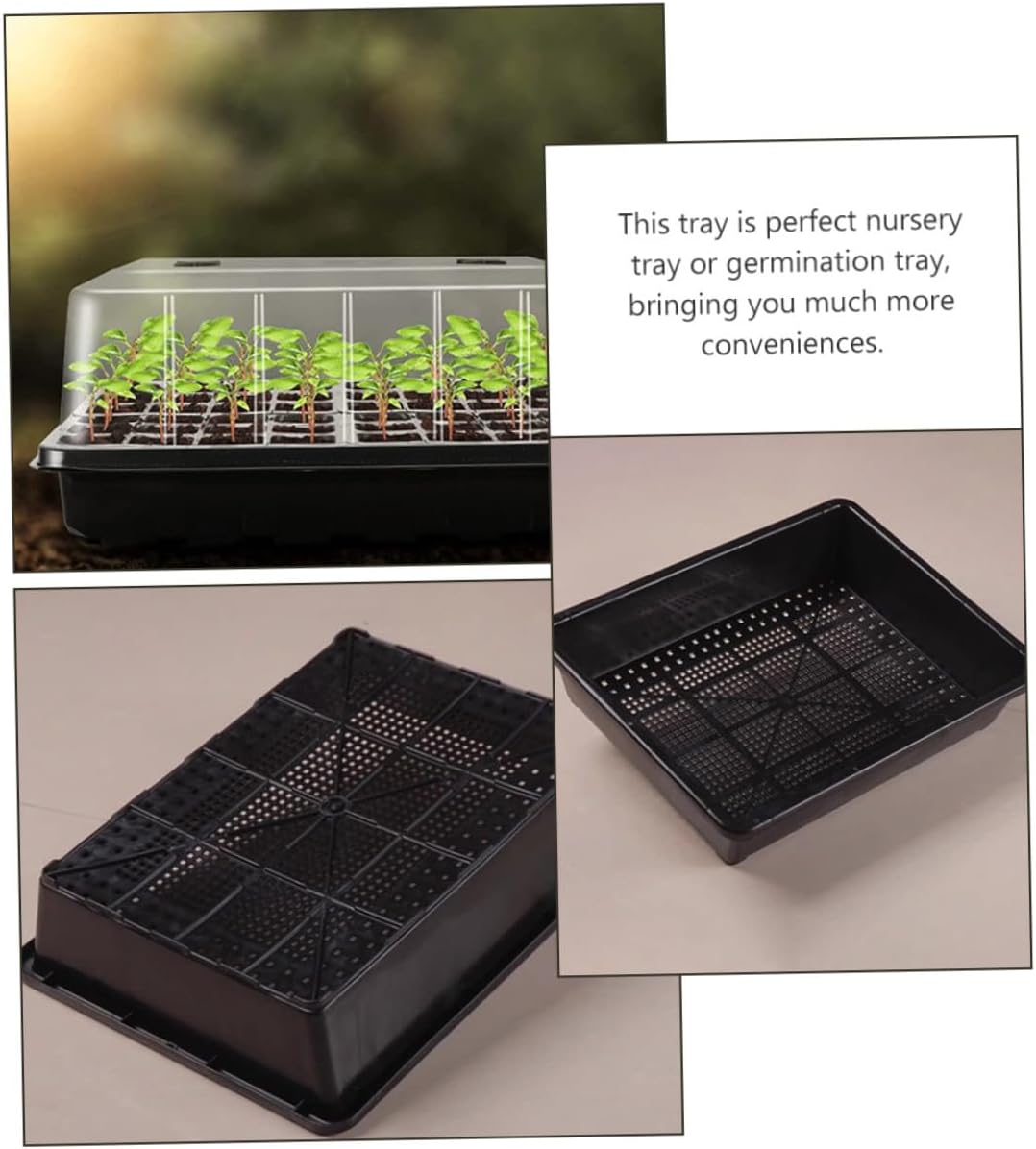 Seedling Starter Tray with Dome Cover Germination Growing Tray for Succulents and Carnivorous Plants Suitable for Indoor Propagation and Seed Germination