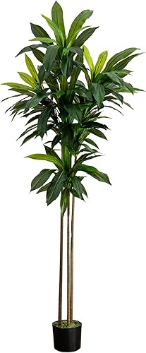 Vista 27 de Nearly Natural Planta artificial Dracaena de 56 pulgadas (tacto real)