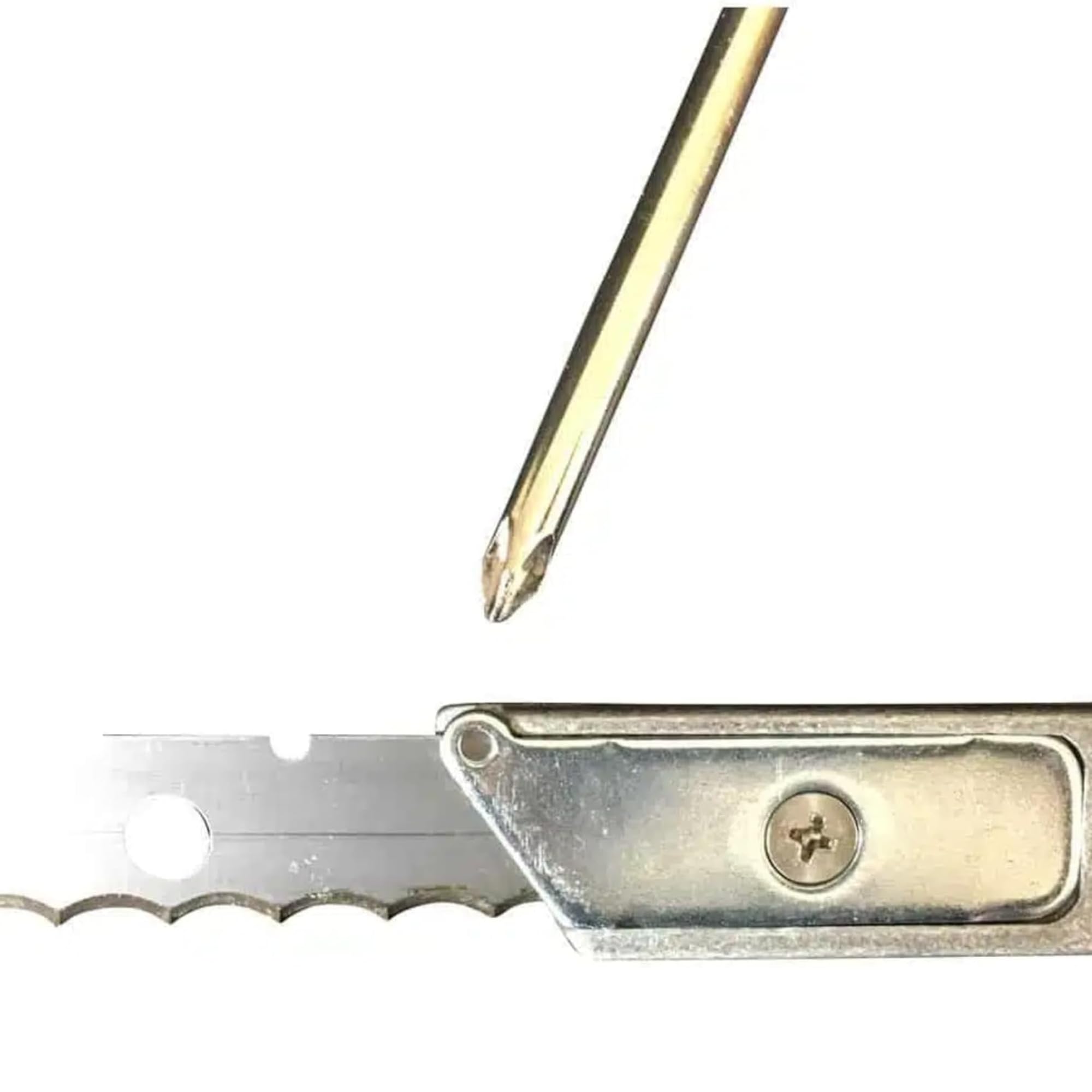 Amazon.com : Cactus Whacker Succulent Garden Pruning Tool - Heavy-Duty  Stainless Steel Pruner for Safe and Easy Cactus and Succulent Maintenance :  Patio, Lawn & Garden
