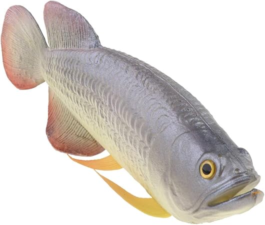 Amazon 現実的 アロワナ装飾 置物 水族館 料理店 市場 ディスプレイ 3d魚モデル おもちゃ グレー 食べ物 おもちゃ Amazon 現実的 アロワナ装飾 置物 水族館 料理店 市場 ディスプレイ 3d魚モデル おもちゃ グレー 食べ物 おもちゃ