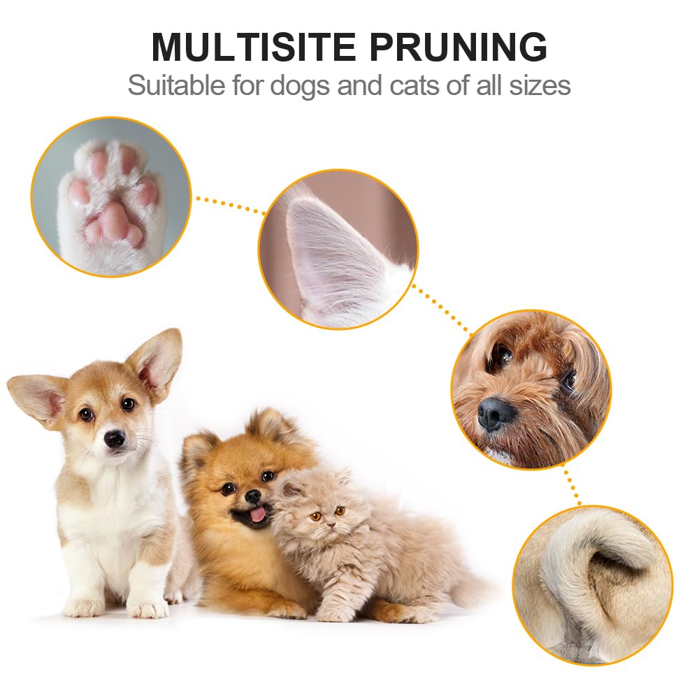 Tondeuse électrique Chien, Tondeuse Pattes Faible Bruit à Lumière LED, Rasoir Chat Chien étanche USB, pour Couper les Poils du Chien Autour des Pattes Yeux Oreilles et Visage