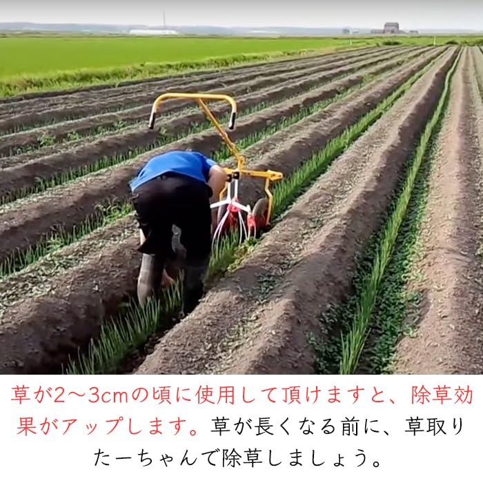 Amazon.co.jp: キュウホー 手押し 除草機 草取りたーちゃん 1条タイプ