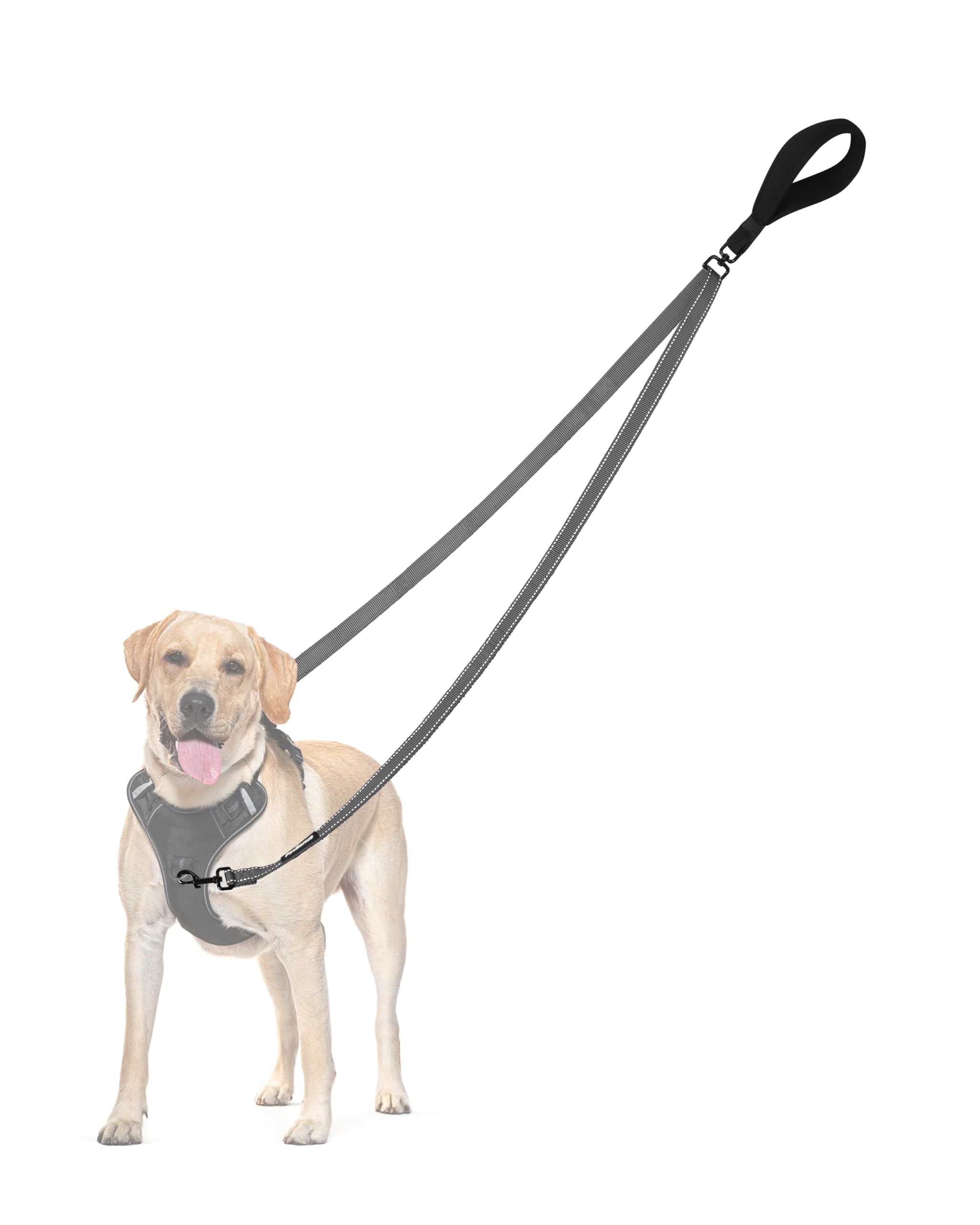 PetBonus Two Point Control Dog Lead, Works with No Pull Harnesses, No Tangle Training Leads