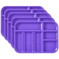 Vista 13 de JMU Bandejas de instrumentos dentales de plástico autoclavable en autoclave tamaño B 13.25 x 9.75 pulgadas, bandeja de configuración separada